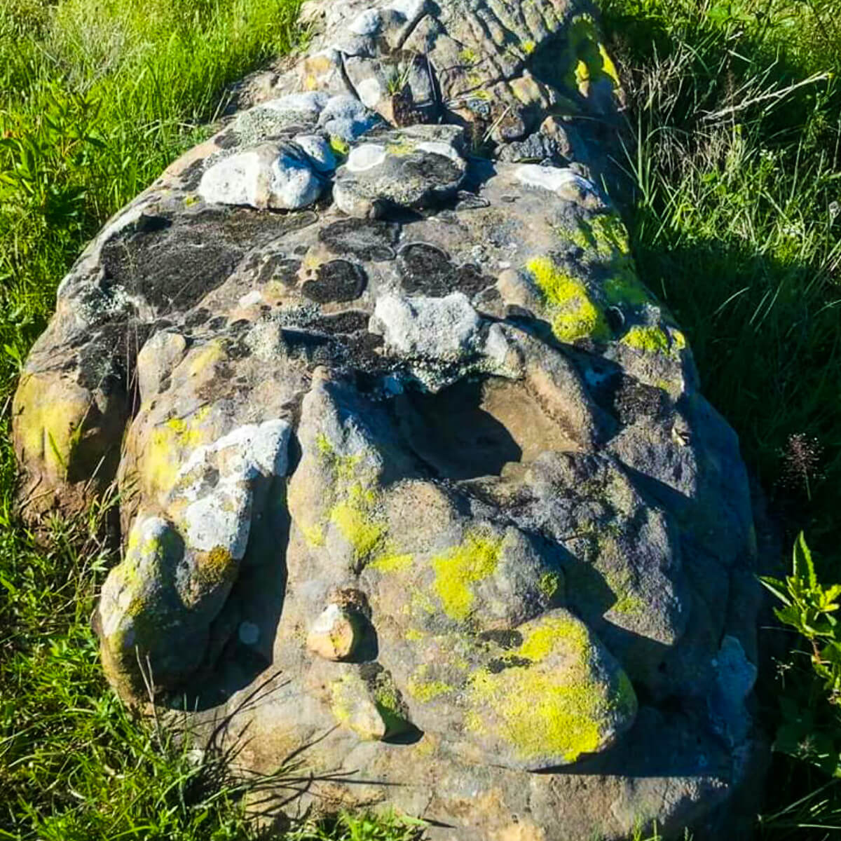 Mossy Boulders – Lindley Stone