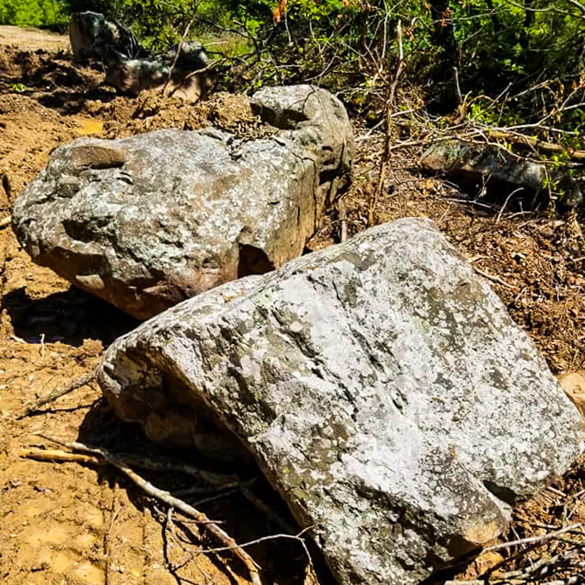 Mossy Boulders – Lindley Stone