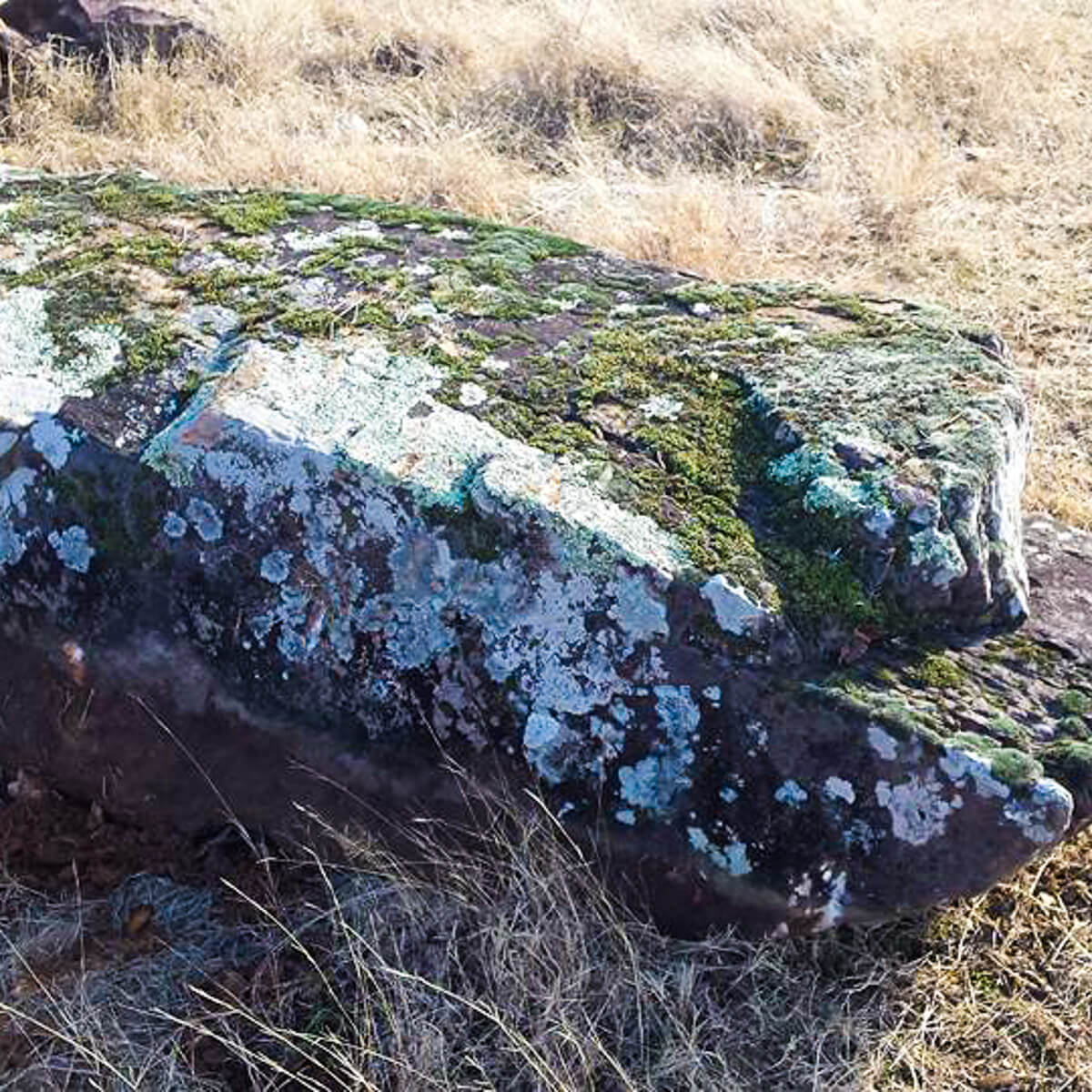 Moss Boulders, Whittlesey Landscape Supplies