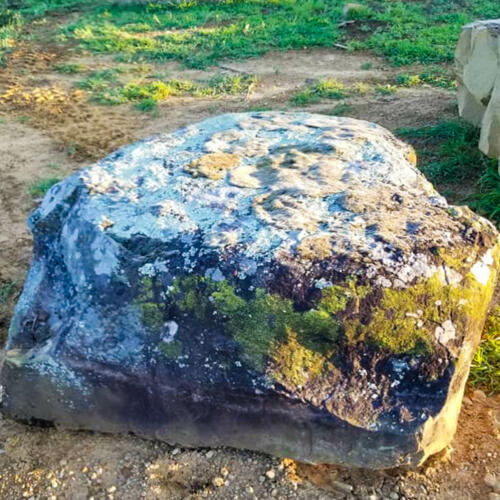 boulders covered in moss