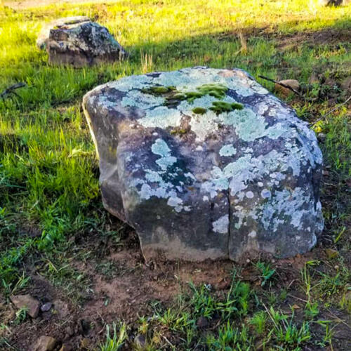 boulders covered in white green moss