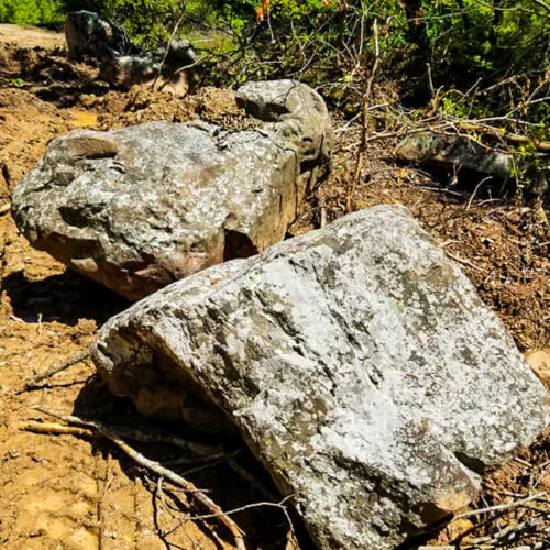 boulders with white lichen