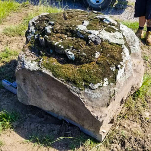 green moss covered boulder for sale