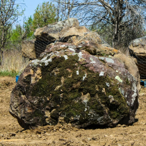 green mossy boulder with lichen