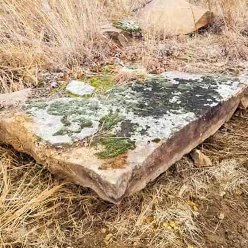 large rocks covered in green moss for sale