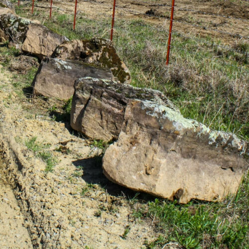 medium sized mossy boulders