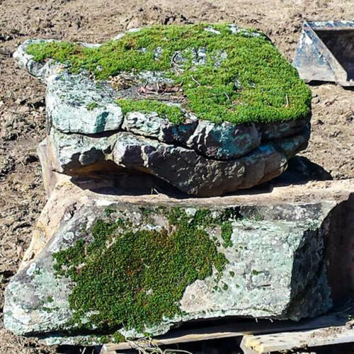 moss covered boulders for pool