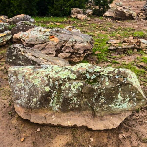 moss covered boulders for water feature