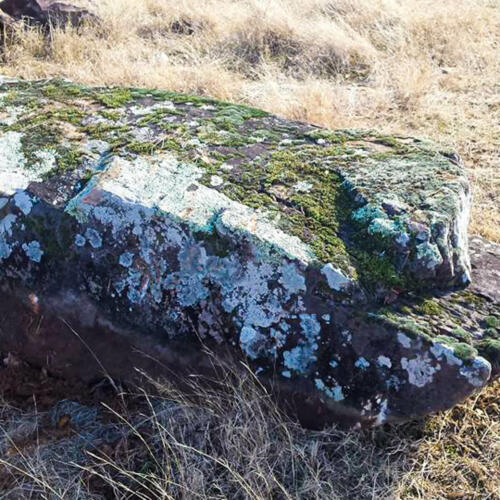 mossy boulders for waterfall