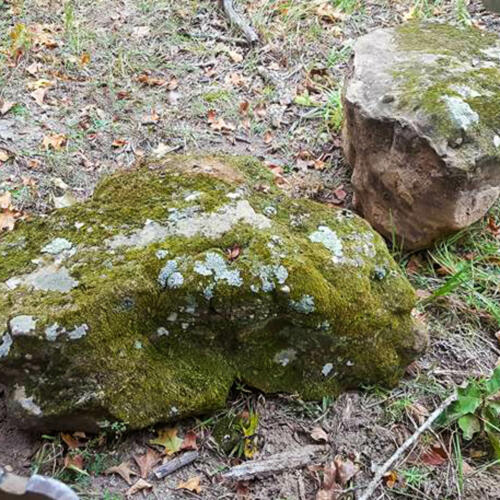 mossy boulders with lichen for sale